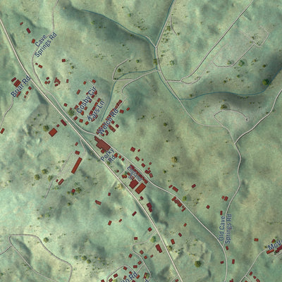 Second close-up of the map of Tazewell, Tennessee print showing more streets and buildings