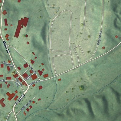 Close-up of the map of Toone, Tennessee print showing street and building detail