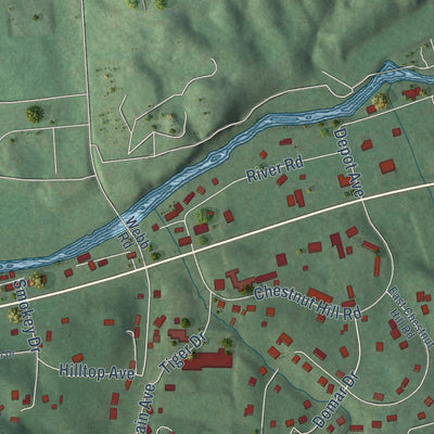Close-up of the map of Townsend, Tennessee print showing street and building detail