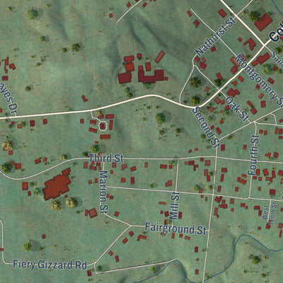 Close-up of the map of Tracy City, Tennessee print showing street and building detail