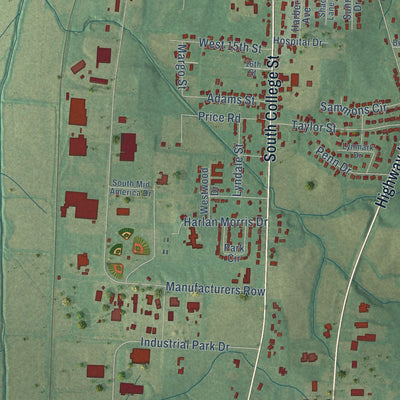 Second close-up of the map of Trenton, Tennessee print showing more streets and buildings