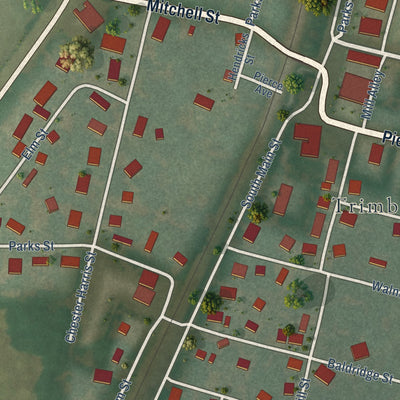 Close-up of the map of Trimble, Tennessee print showing street and building detail