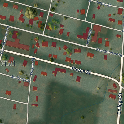 Second close-up of the map of Trimble, Tennessee print showing more streets and buildings