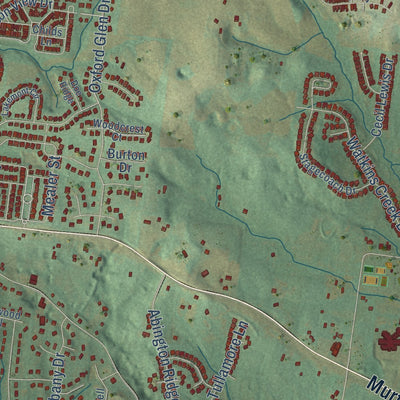 Close-up of the map of Trinity, Tennessee print showing street and building detail