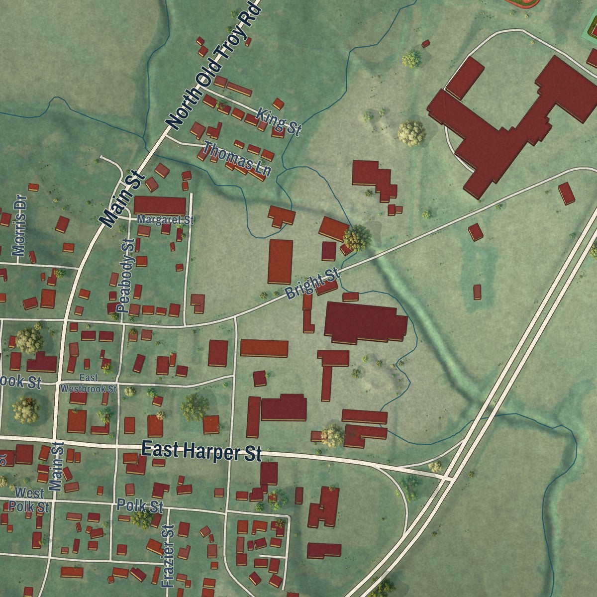 Close-up of the map of Troy, Tennessee print showing street and building detail