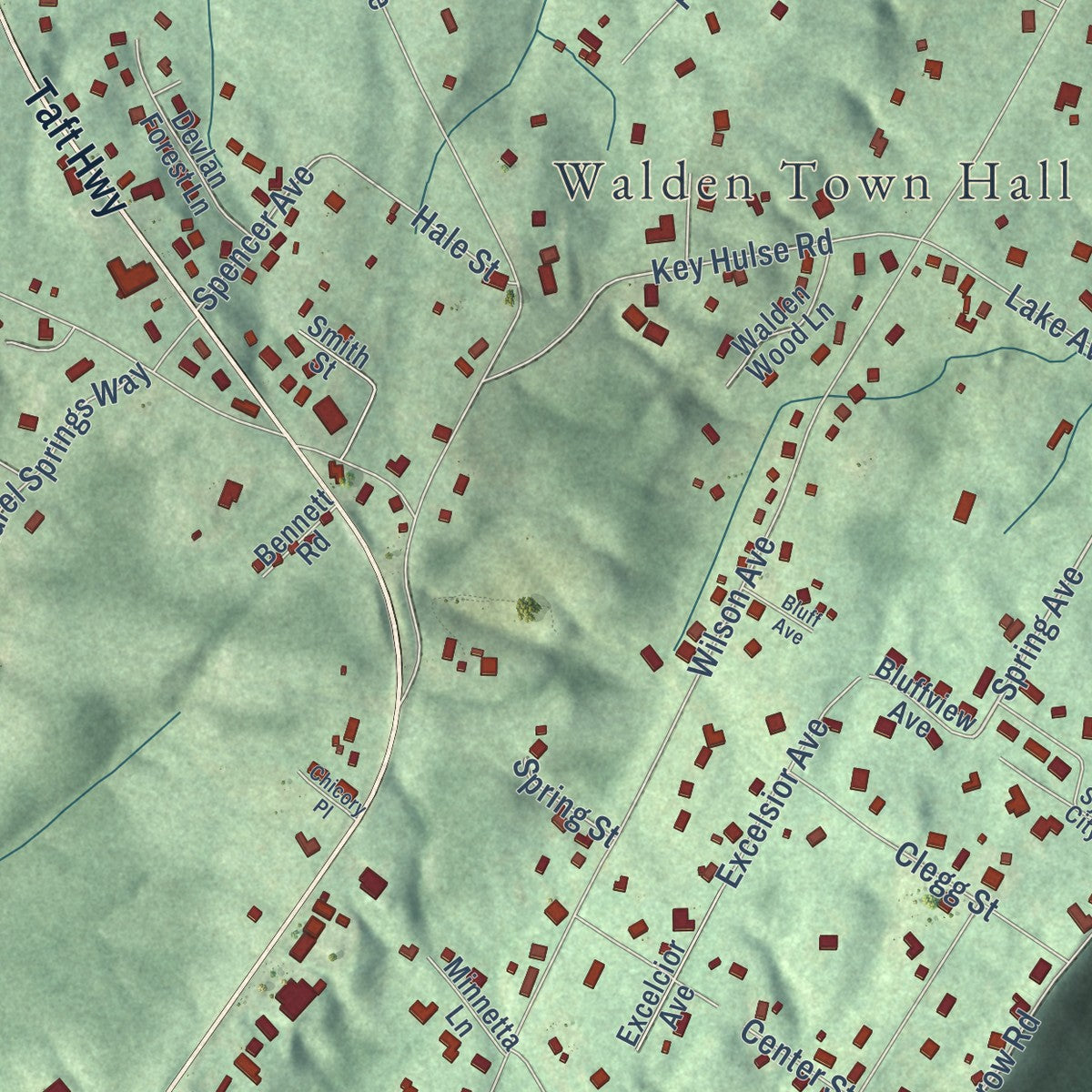 Close-up of the map of Walden, Tennessee print showing street and building detail