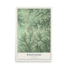 Map of White Bluff, Tennessee, 12 x 18 inch unframed archival matte print