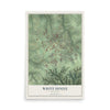 Map of White House, Tennessee, 12 x 18 inch unframed archival matte print