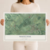 Map of White Pine, Tennessee, 12 x 18 inch unframed archival matte print