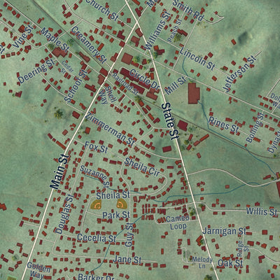 Close-up of the map of White Pine, Tennessee print showing street and building detail