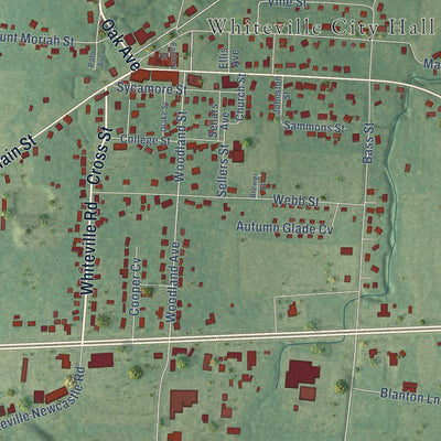 Close-up of the map of Whiteville, Tennessee print showing street and building detail