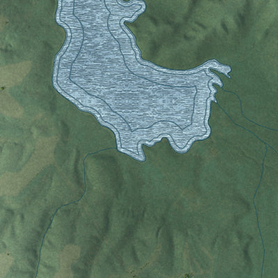 Second close-up of the map of Whiteville, Tennessee print showing more streets and buildings