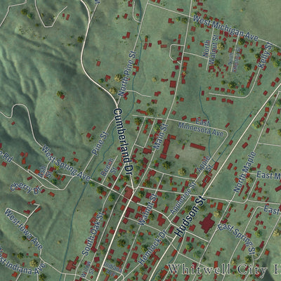 Close-up of the map of Whitwell, Tennessee print showing street and building detail