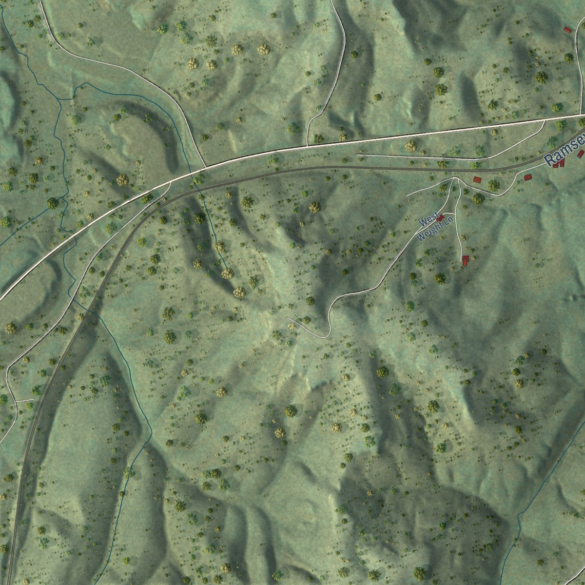 Close-up of the map of Winfield, Tennessee print showing street and building detail