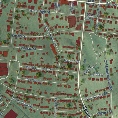Close-up of the map of Woodbury, Tennessee print showing street and building detail