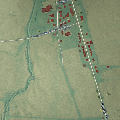 Close-up of the map of Woodland Mills, Tennessee print showing street and building detail