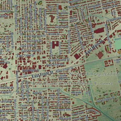 Close-up of the map of Alice, Texas print showing street and building detail
