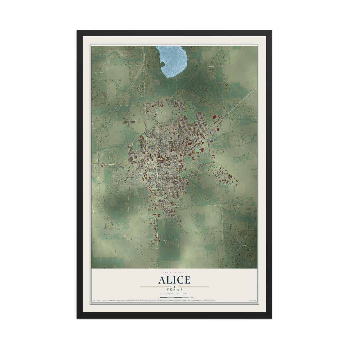 Map of Alice, Texas, 12 x 18 inch print in a black wood frame