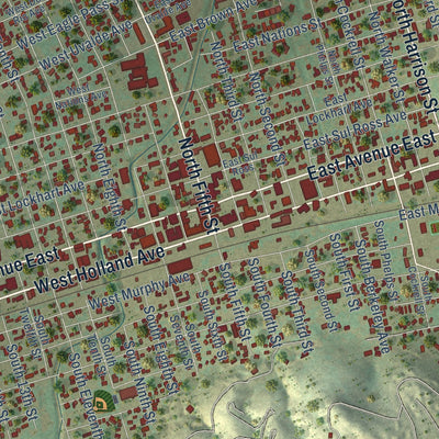 Close-up of the map of Alpine, Texas print showing street and building detail