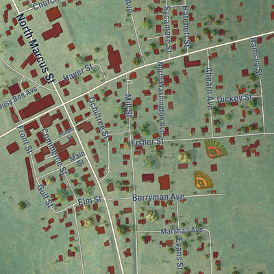 Close-up of the map of Alto, Texas print showing street and building detail