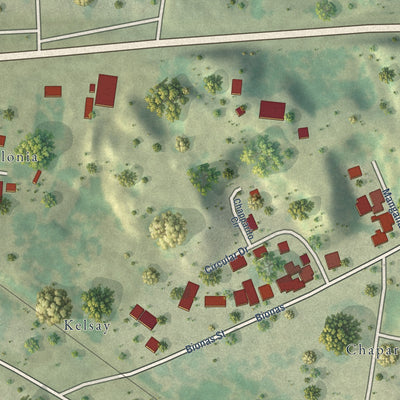 Close-up of the map of Amada Acres, Texas print showing street and building detail