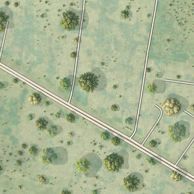 Close-up of the map of Anacua, Texas print showing street and building detail
