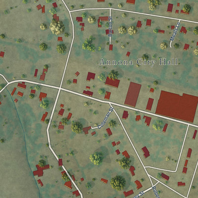 Close-up of the map of Annona, Texas print showing street and building detail
