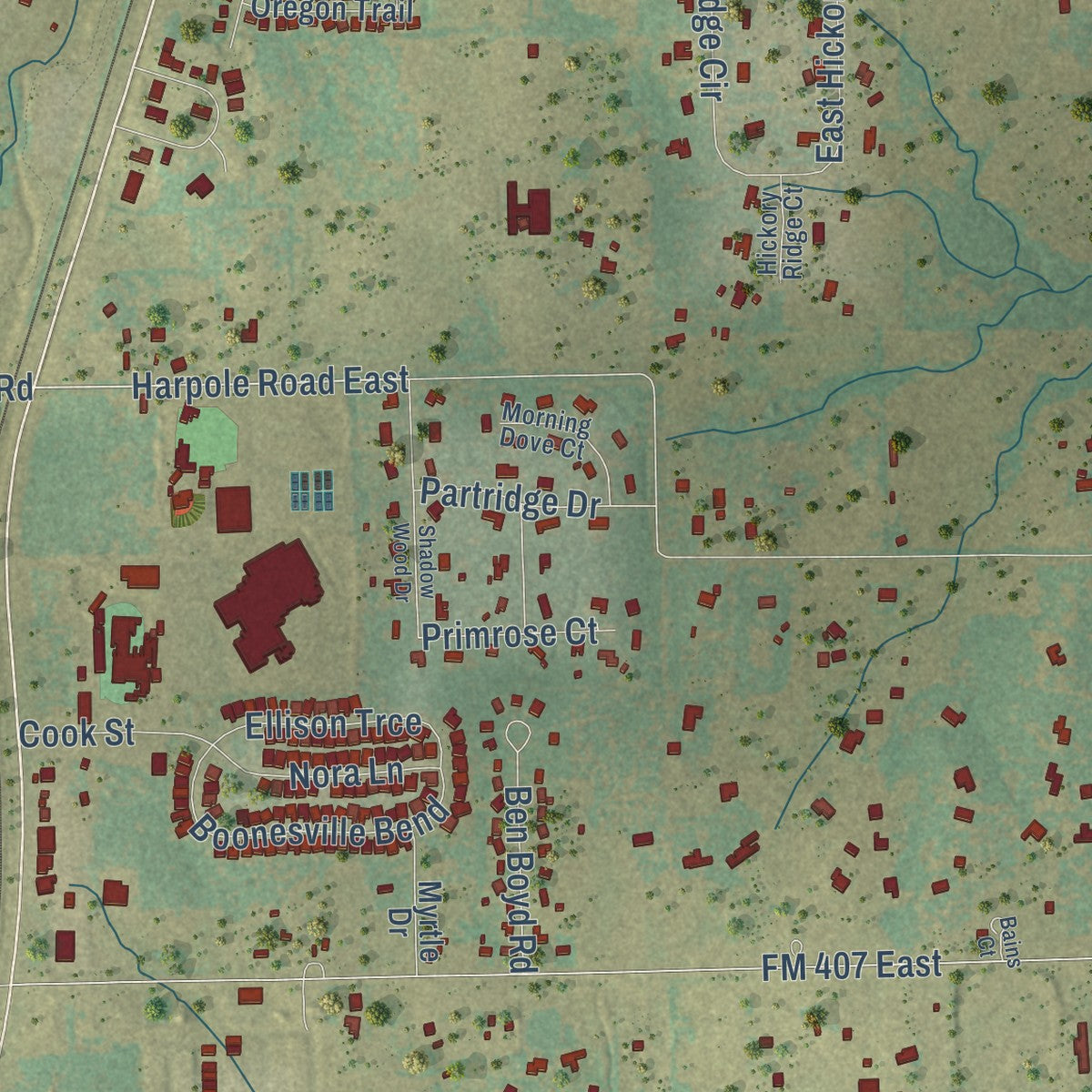 Close-up of the map of Argyle, Texas print showing street and building detail