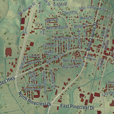 Close-up of the map of Atlanta, Texas print showing street and building detail