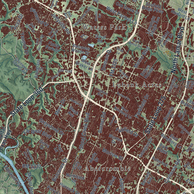Close-up of the map of Austin, Texas print showing street and building detail