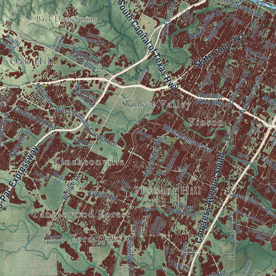 Second close-up of the map of Austin, Texas print showing more streets and buildings