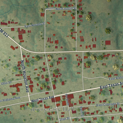 Close-up of the map of Avery, Texas print showing street and building detail
