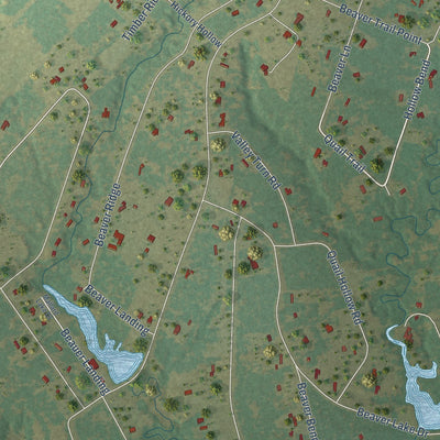 Close-up of the map of Beaver Creek, Texas print showing street and building detail