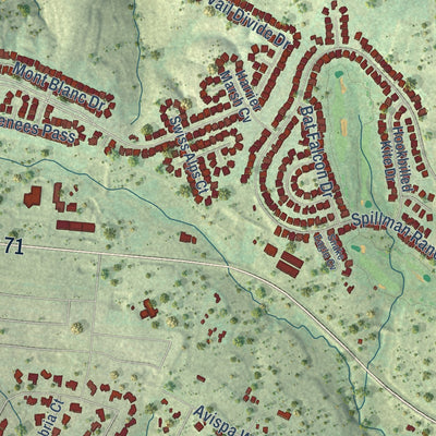 Close-up of the map of Bee Cave, Texas print showing street and building detail