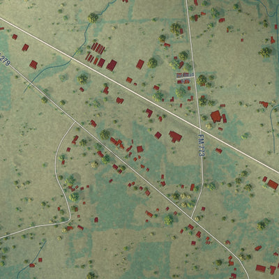Close-up of the map of Ben Wheeler, Texas print showing street and building detail