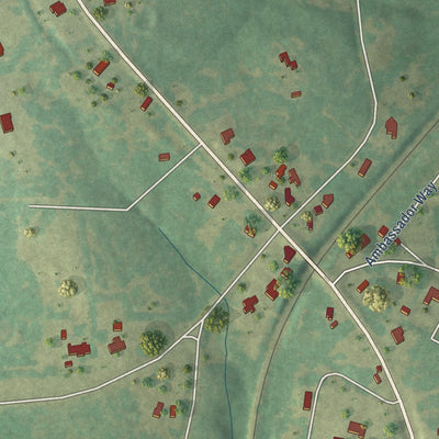Close-up of the map of Bivins, Texas print showing street and building detail