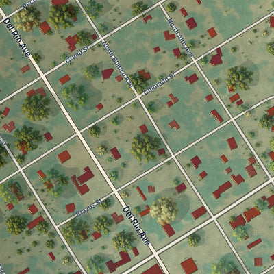 Close-up of the map of Blackwell, Texas print showing street and building detail