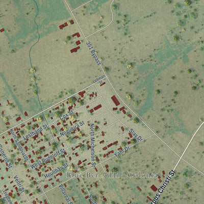 Close-up of the map of Blue Berry Hill, Texas print showing street and building detail