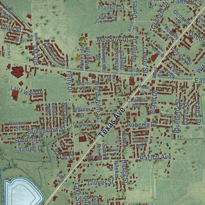 Close-up of the map of Bridge City, Texas print showing street and building detail