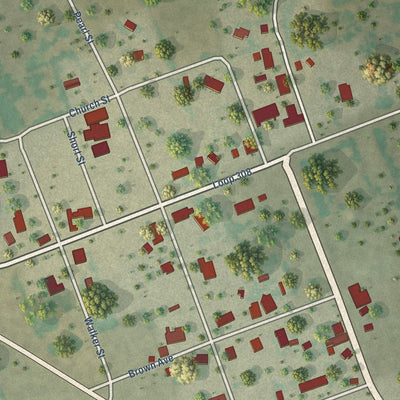 Close-up of the map of Briggs, Texas print showing street and building detail