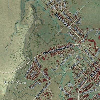 Second close-up of the map of Brownwood, Texas print showing more streets and buildings