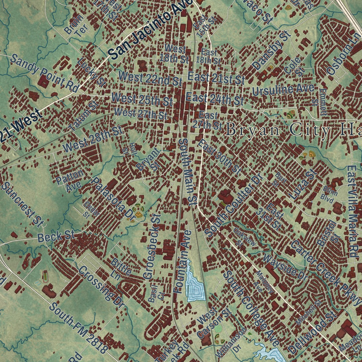 Close-up of the map of Bryan, Texas print showing street and building detail