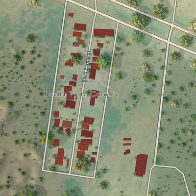 Close-up of the map of Buena Vista, Texas print showing street and building detail