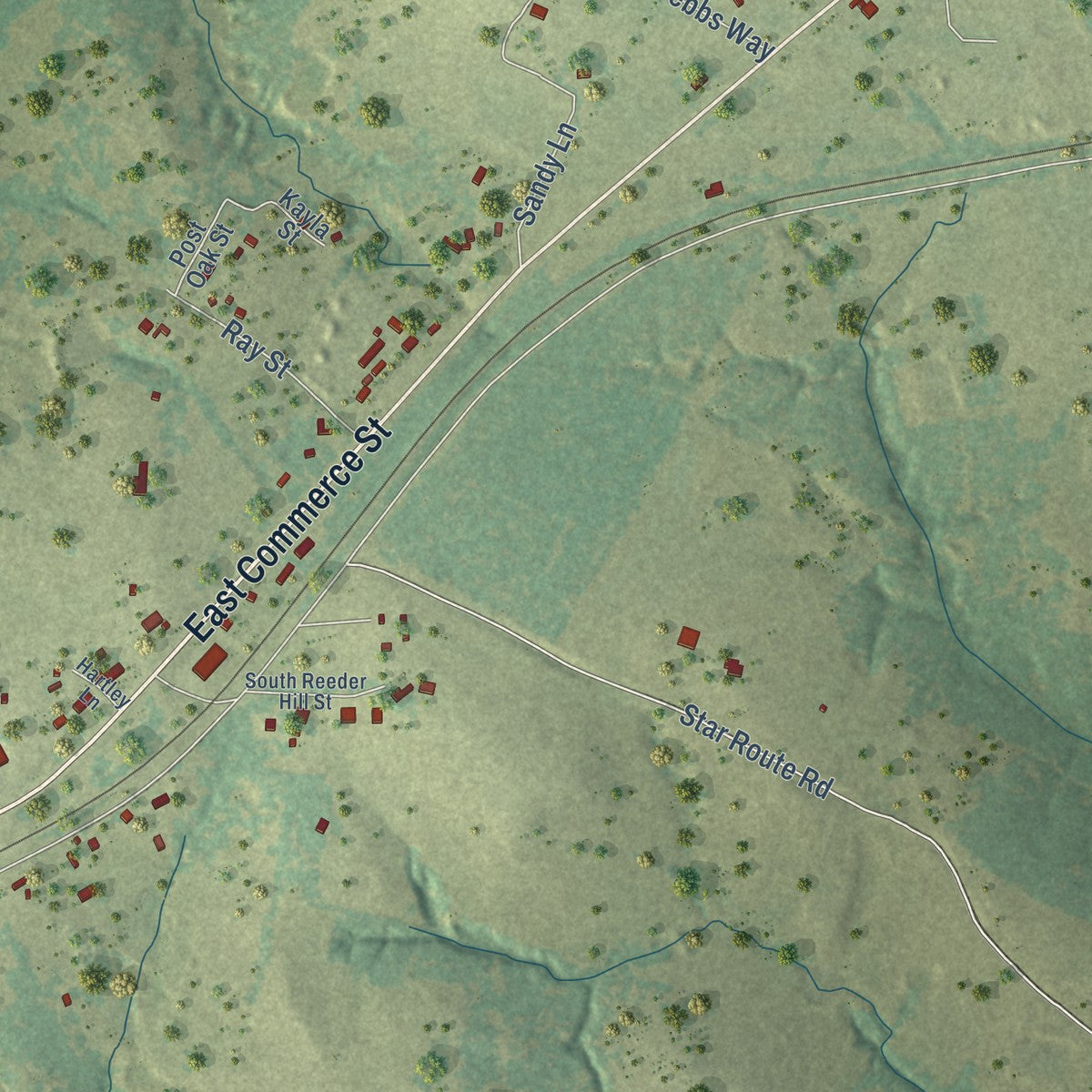 Second close-up of the map of Buffalo, Texas print showing more streets and buildings