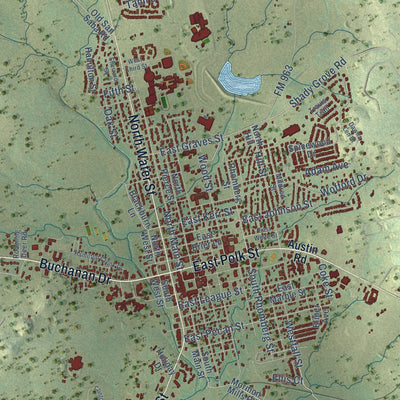 Close-up of the map of Burnet, Texas print showing street and building detail