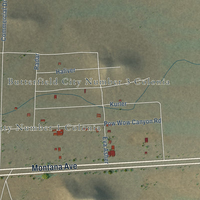 Close-up of the map of Butterfield, Texas print showing street and building detail