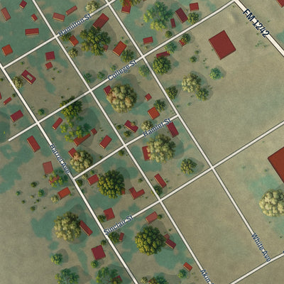 Close-up of the map of Bynum, Texas print showing street and building detail