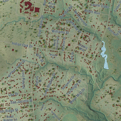 Close-up of the map of Camp Swift, Texas print showing street and building detail