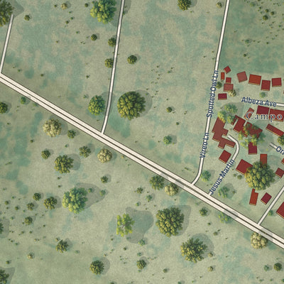 Close-up of the map of Campo Verde, Texas print showing street and building detail