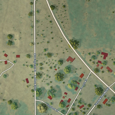 Second close-up of the map of Carbon, Texas print showing more streets and buildings